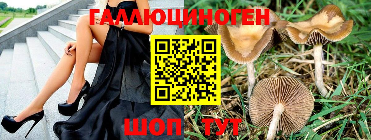 Псилоцибиновые грибы Psilocybine cubensis  Вход с VPN  Ухта 