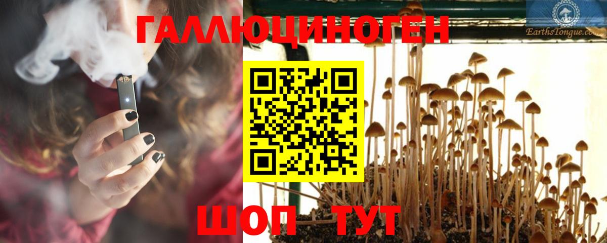 Галлюциногенные грибы Psilocybine cubensis Ухта